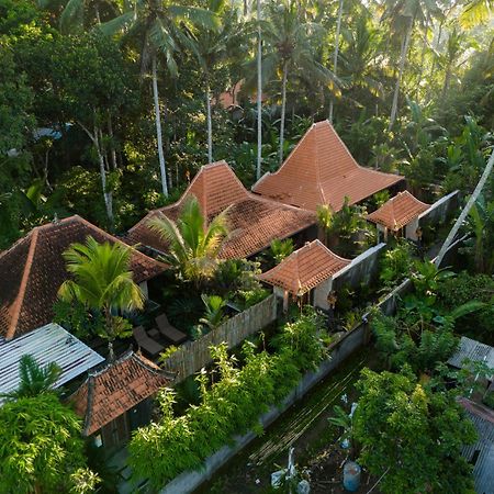 Jaya Villa Ubud Exteriér fotografie
